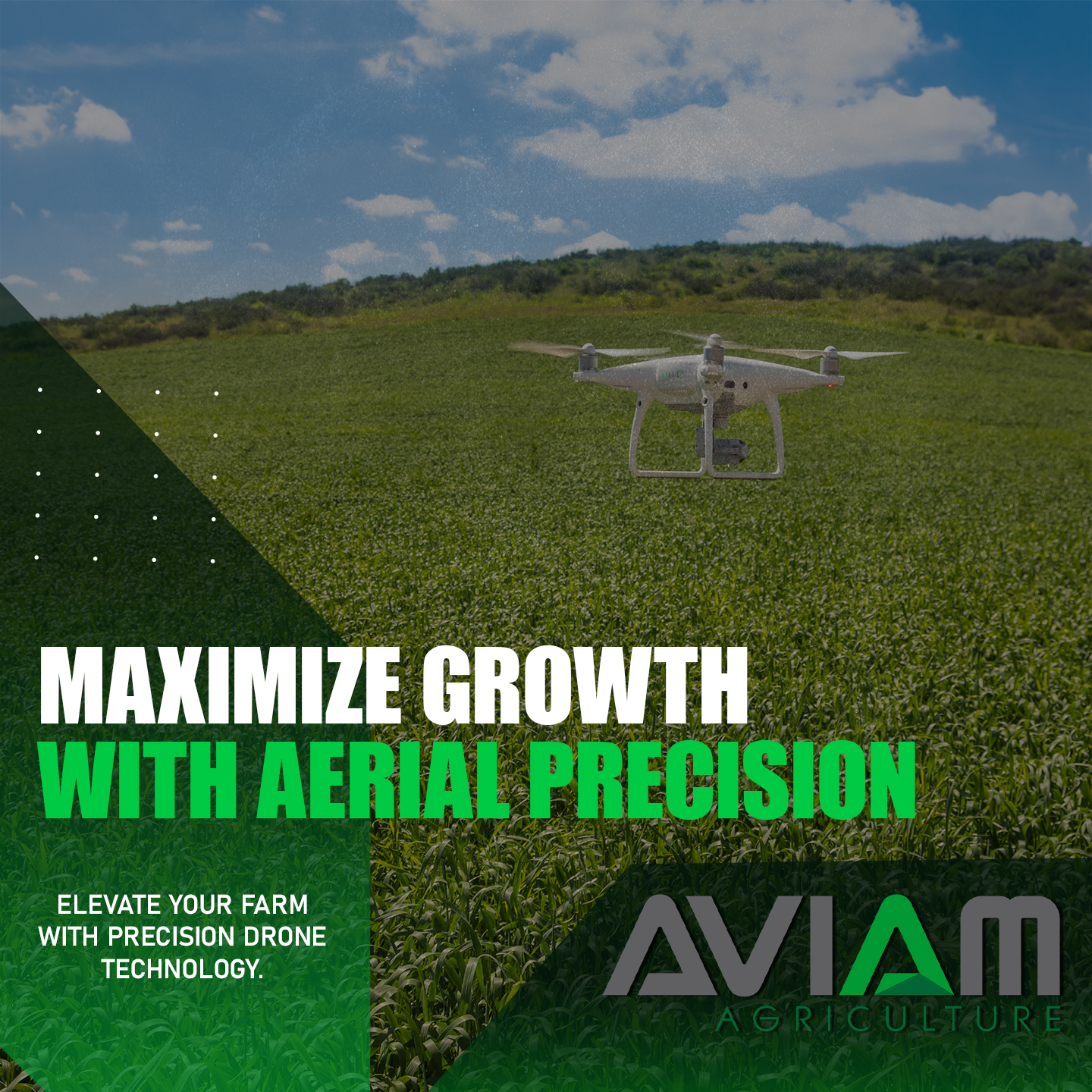 Aviam Agriculture